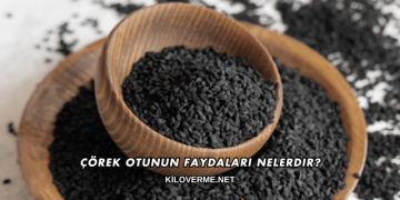 Çörek Otunun Faydaları Nelerdir?