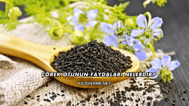 Çörek Otunun Faydaları Nelerdir?