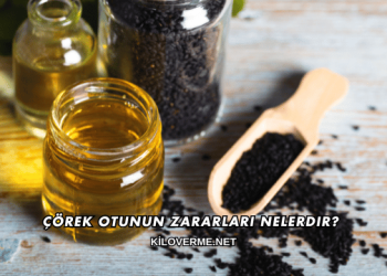 Çörek Otunun Zararları Nelerdir?