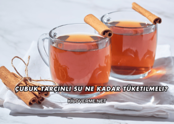 Çubuk Tarçınlı Su Ne Kadar Tüketilmeli?