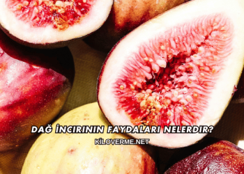 Dağ İncirinin Faydaları Nelerdir?