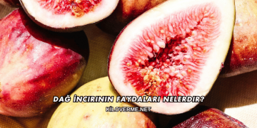Dağ İncirinin Faydaları Nelerdir?