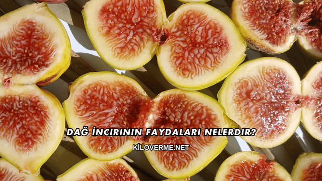 Dağ İncirinin Faydaları Nelerdir?