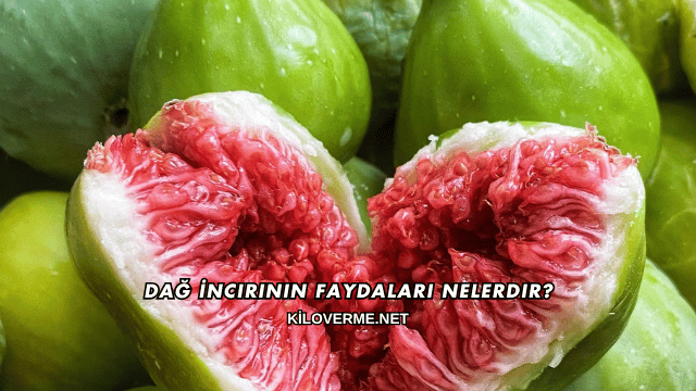 Dağ İncirinin Faydaları Nelerdir?