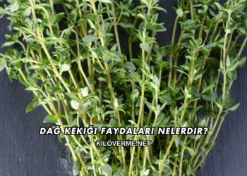 Dağ Kekiği Faydaları Nelerdir?