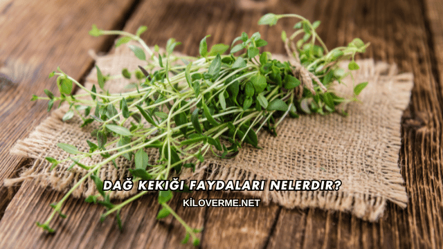 Dağ Kekiği Faydaları Nelerdir?