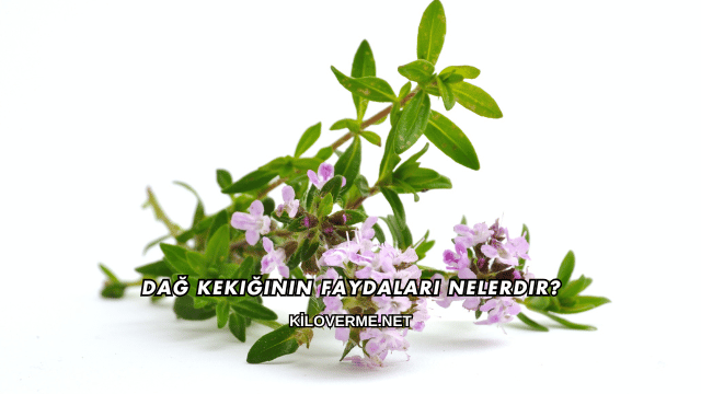 Dağ Kekiğinin Faydaları Nelerdir?