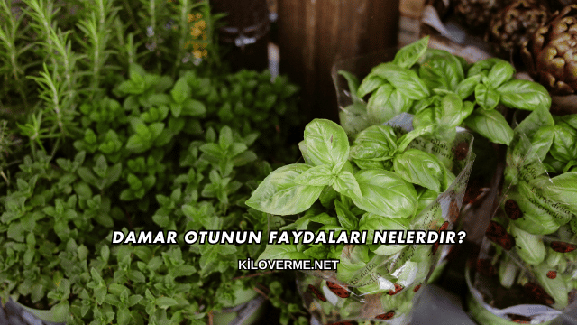 Damar Otunun Faydaları Nelerdir?