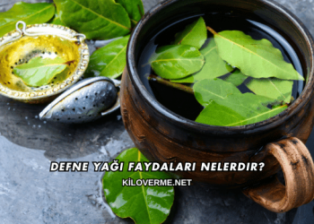 Defne Yağı Faydaları Nelerdir?