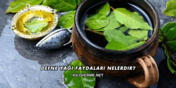 Defne Yağı Faydaları Nelerdir?
