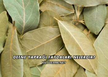 Defne Yaprağı Faydaları Nelerdir?