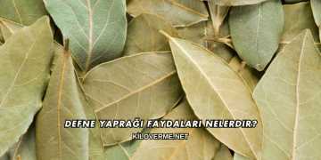 Defne Yaprağı Faydaları Nelerdir?