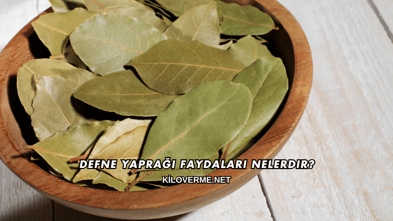 Defne Yaprağı Faydaları Nelerdir?