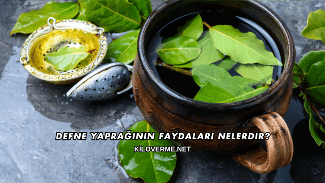 Defne Yaprağının Faydaları Nelerdir?