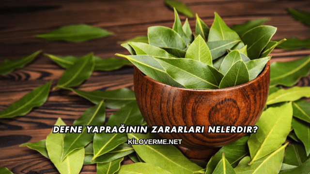 Defne Yaprağının Zararları Nelerdir?