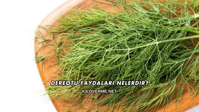 Dereotu Faydaları Nelerdir?