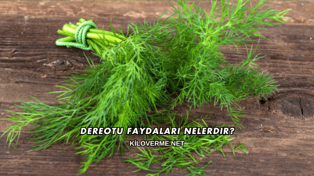 Dereotu Faydaları Nelerdir?
