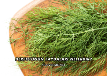 Dereotunun Faydaları Nelerdir?