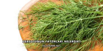 Dereotunun Faydaları Nelerdir?