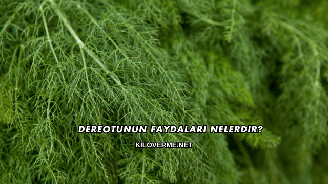 Dereotunun Faydaları Nelerdir?