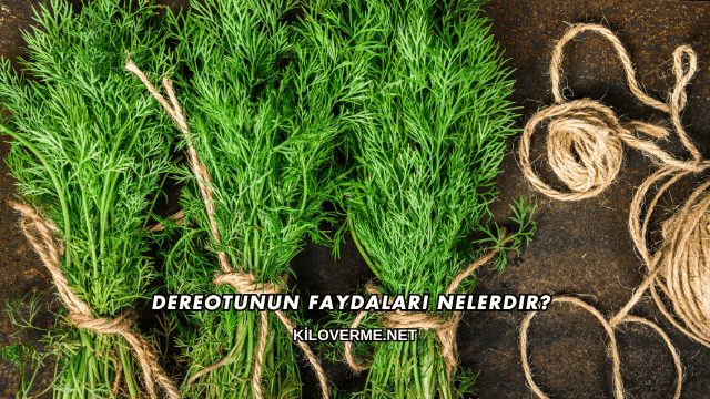 Dereotunun Faydaları Nelerdir?
