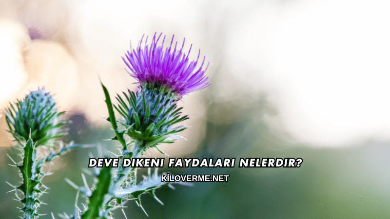 Deve Dikeni Faydaları Nelerdir?