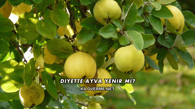 Diyette Ayva Yenir mi?
