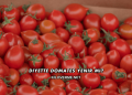 Diyette Domates Yenir mi?