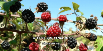 Diyette Dut Yenir mi?