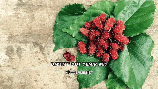 Diyette Dut Yenir mi?