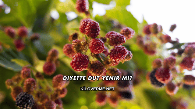 Diyette Dut Yenir mi?