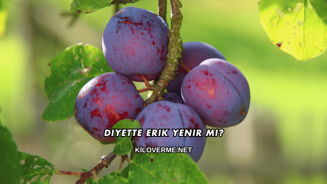 Diyette Erik Yenir mi?