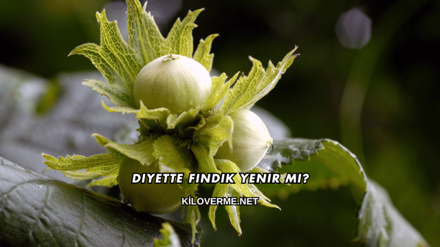 Diyette Fındık Yenir mi?