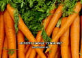 Diyette Havuç Yenir mi?