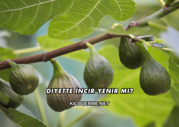 Diyette İncir Yenir mi?