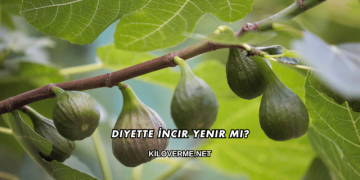 Diyette İncir Yenir mi?