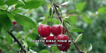 Diyette Kiraz Yenir mi?