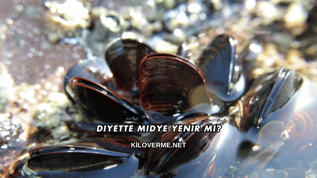 Diyette Midye Yenir mi?