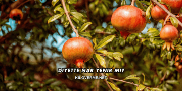 Diyette Nar Yenir mi?