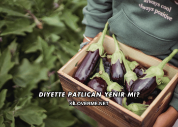 Diyette Patlıcan Yenir mi?