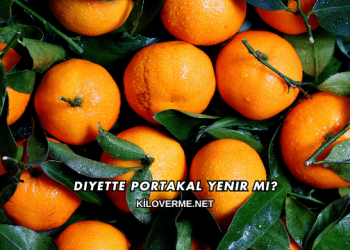 Diyette Portakal Yenir mi?