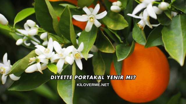Diyette Portakal Yenir mi?
