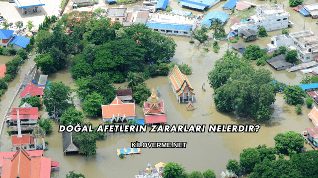 Doğal Afetlerin Zararları Nelerdir?