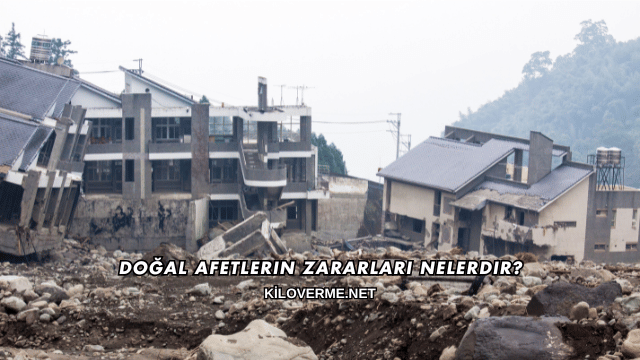 Doğal Afetlerin Zararları Nelerdir?
