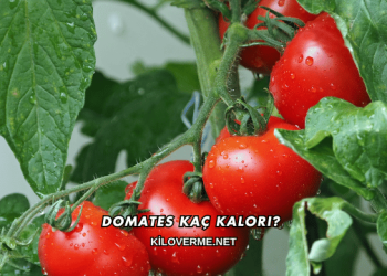Domates Kaç Kalori