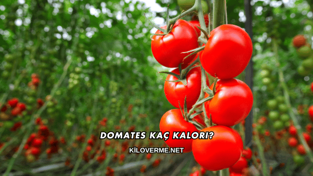 Domates Kaç Kalori