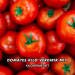 Domates Kilo Verdirir mi?