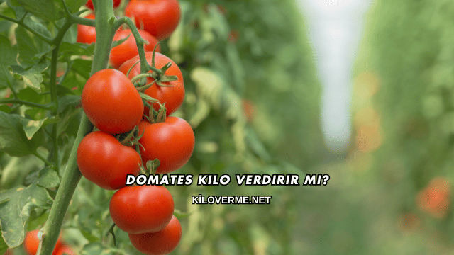 Domates Kilo Verdirir mi?