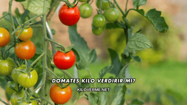 Domates Kilo Verdirir mi?