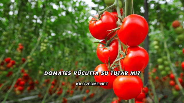 Domates Vücutta Su Tutar mı?